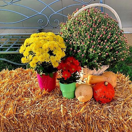 Хотел Дани Sandanski Ngoại thất bức ảnh